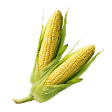 Lauryl Glucoside