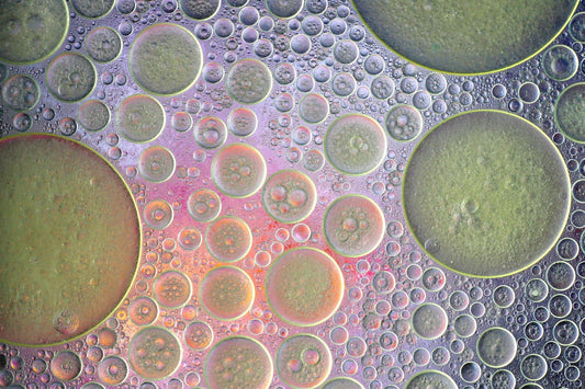 Qlean Laundry - Close-up of soap bubbles